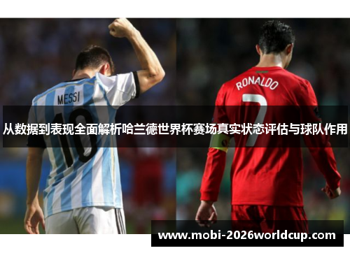 从数据到表现全面解析哈兰德世界杯赛场真实状态评估与球队作用